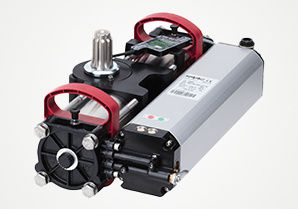 FAAC S800 ENC Automazione per Cancelli a Battente